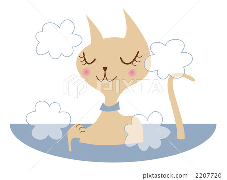 bathe, bathtime, cat 2207720