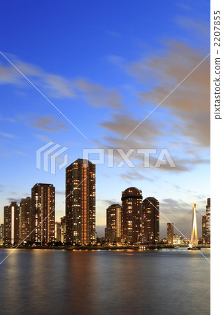 豐洲的晚上風景 2207855