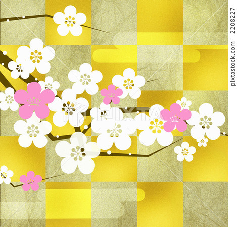 梅花 梅花 2208227