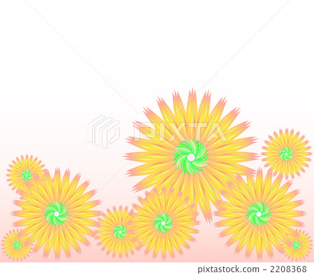 非洲菊的背景1 非洲菊的背景1 2208368