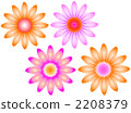 Daisy 4 color 1 Daisy 4 color 1 2208379