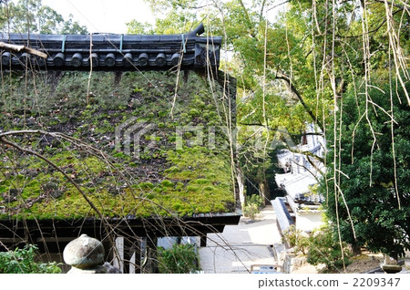 Mossy cypress roofing roof 2209347