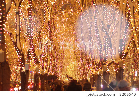 Snow falling pageant Snow falling pageant 2209549