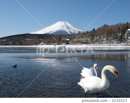 Mountains and birds and lakes Mountains and birds and lakes 2210323