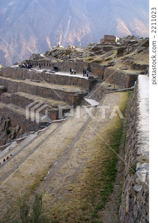 Orient Thambo / Peru 2211023