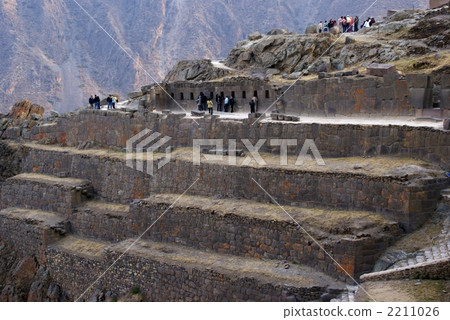 Orient Thambo / Peru 2211026