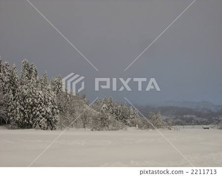 白雪皚皚 雪景 凍結的字段 2211713