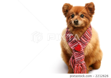 Heart muffler white back 2212626