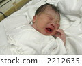剛出生的嬰兒 2212635