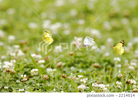 Excursion♪ 2214014