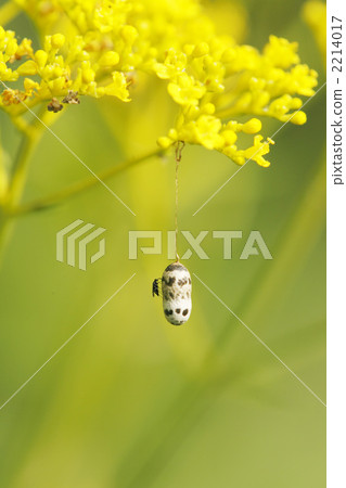 Good harvest♪ 2214017