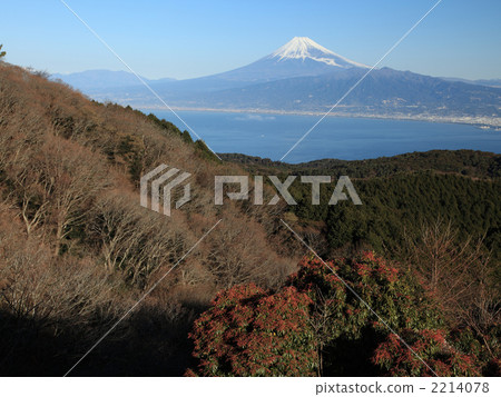 Mt. Fuji from Izu 2214078