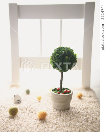 室內盆栽 觀葉植物 通風的 2214744