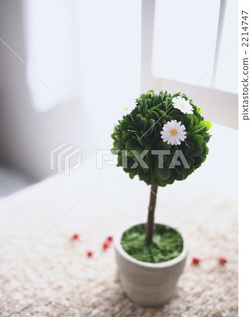 室內盆栽 觀葉植物 通風的 2214747