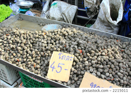 Huikae red shellfish Thailand 2215011