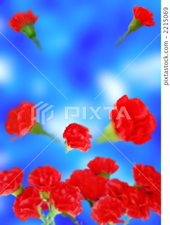 在母親節的感激之情 2215069