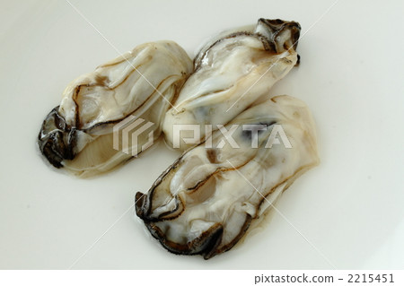 牡蠣 2215451