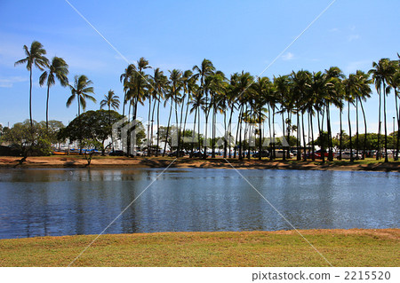 Ala Moana Beach Park Pond 2215520