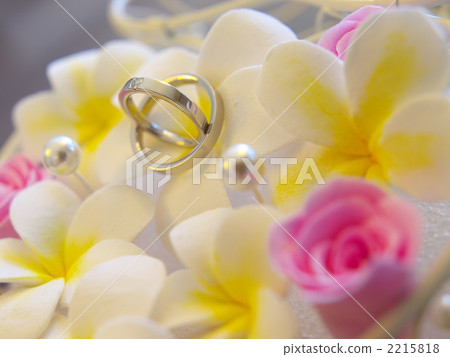 Ring pillow Ring pillow 2215818