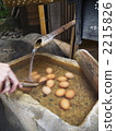 Hot spring egg 2215826