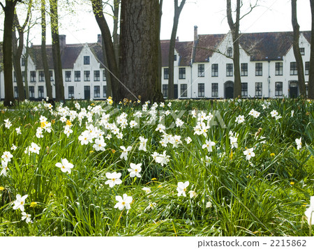 Abbey Suichen Bruges 2215862