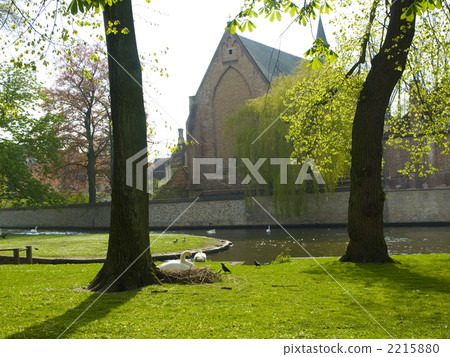 Swan church Bruges 2215880