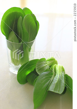 迷你清菜 2215910