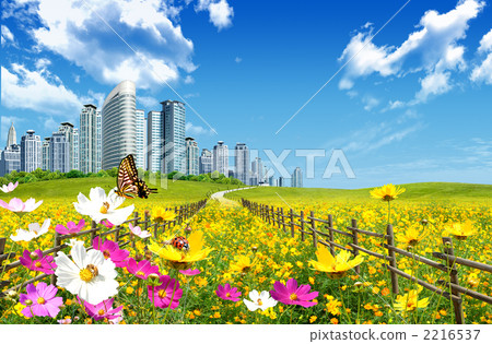 城市花卉_k_417509 城市花卉_k_417509 2216537
