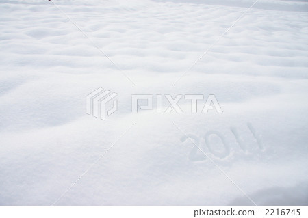 2011 2011 2216745