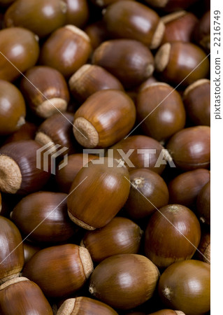 Acorn Acorn 2216749