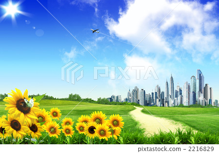 City flowers _k _ 454961 City flowers _k _ 454961 2216829