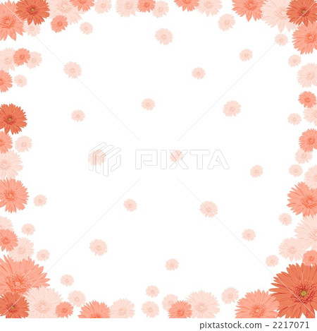 Gerbera 2217071