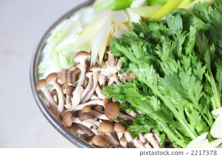 山毛櫸目次 2217378