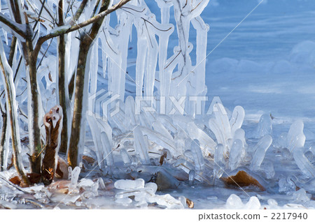 極冷的對象 極冷的對象 2217940