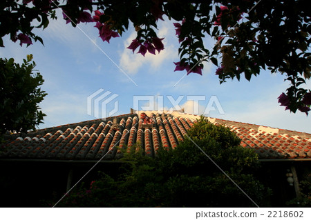 red roof tile, pillar, garden tree 2218602