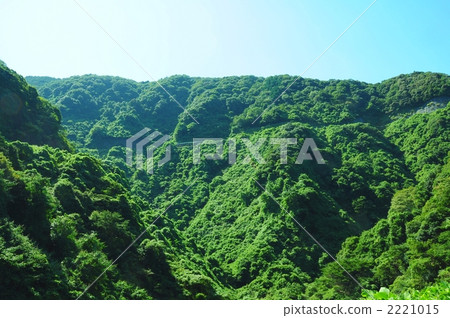 Kaido, Kyoto 2221015