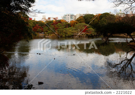Autumn leaves in the garden in the city 2221022