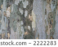 Wood grain 2222283