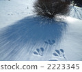 footprints, footmark, footprint 2223345