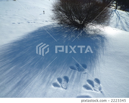 footprints, footmark, footprint 2223345