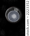Ovum Pregnancy 0 week 2223352