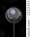 Ovum in vitro fertilization 0 week pregnancy 2223353