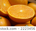 cut orange 2223456