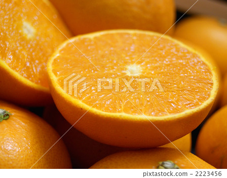 cut orange cut orange 2223456