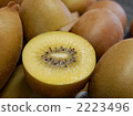 gold kiwi 2223496