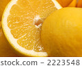 grapefruit  2223548
