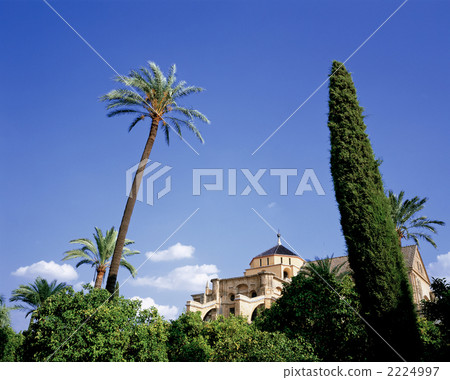 Mesquita of Cordoba Mesquita of Cordoba 2224997