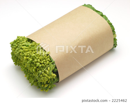 強姦開花 2225462