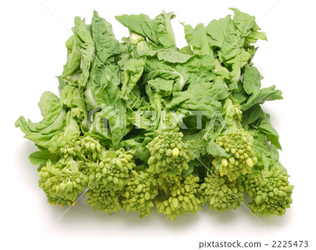 強姦開花 2225473