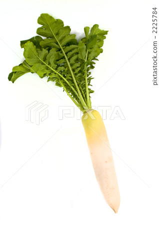 蘿蔔 食物 美食 2225784